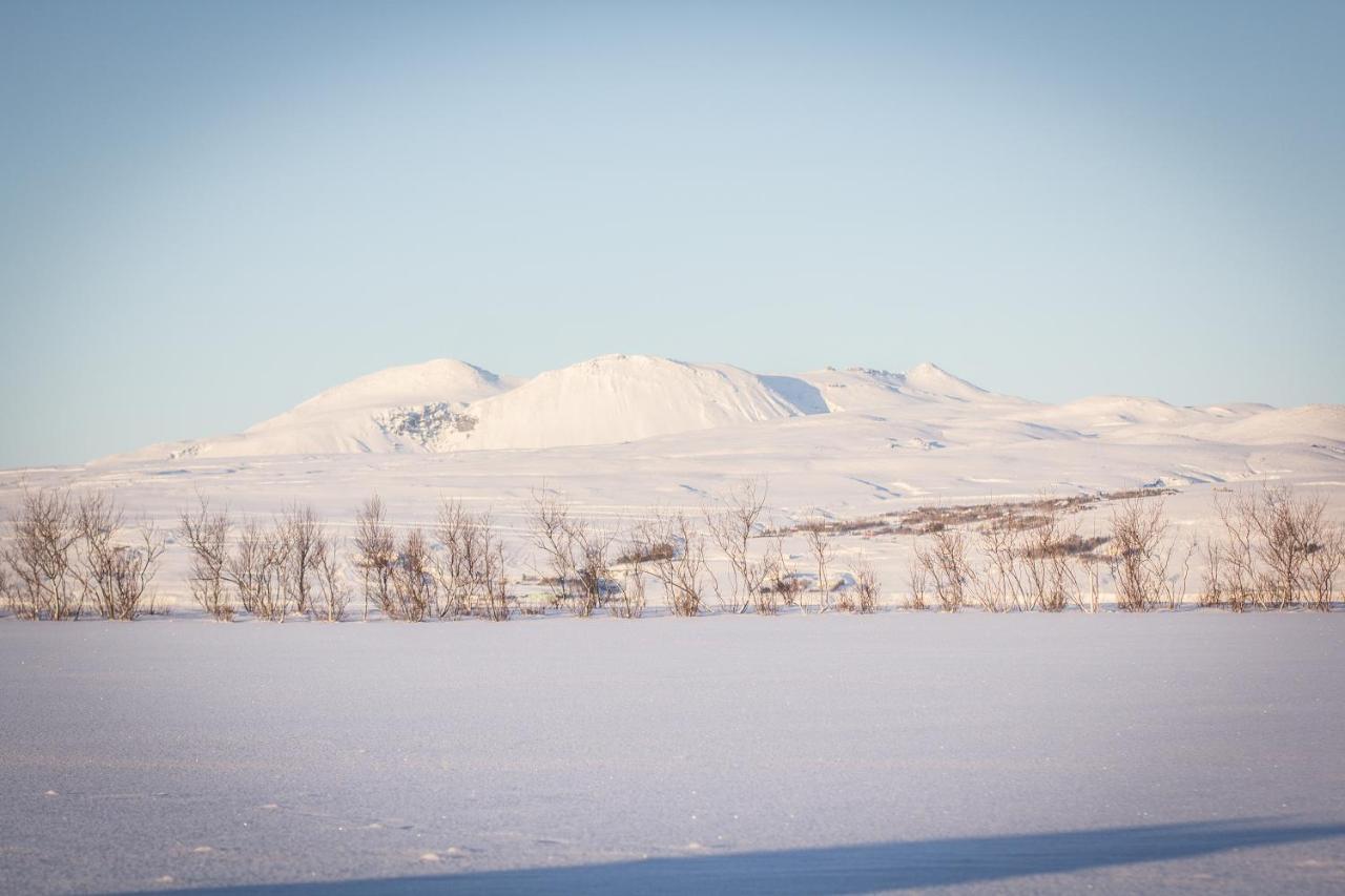 Rauðuskriður farm Holmabaeir Exteriör bild
