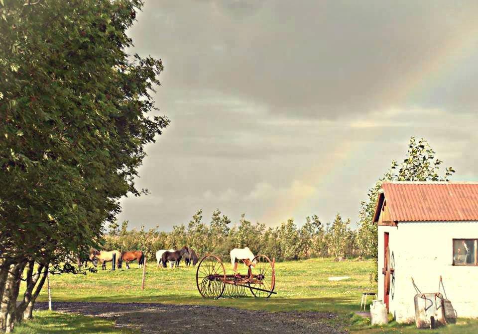 Rauðuskriður farm Holmabaeir Exteriör bild