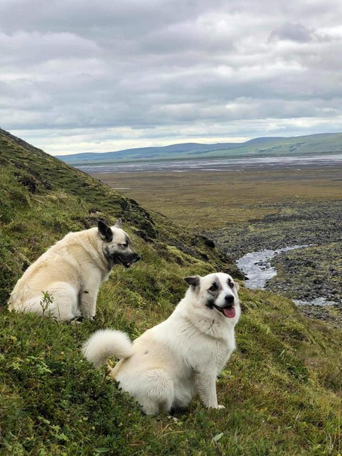 Rauðuskriður farm Holmabaeir Exteriör bild