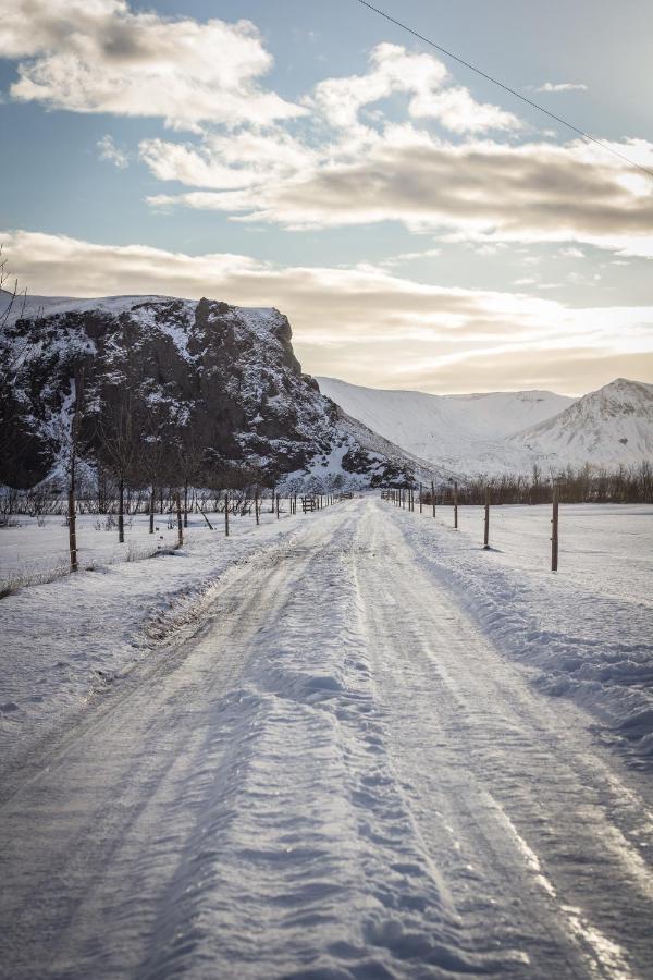 Rauðuskriður farm Holmabaeir Exteriör bild